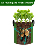 Vegetable Grow Bags