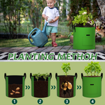 Vegetable Grow Bags